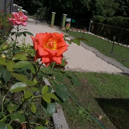 Fiona Kunyhoja Apartmanhaz *